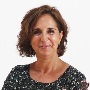 perfil
