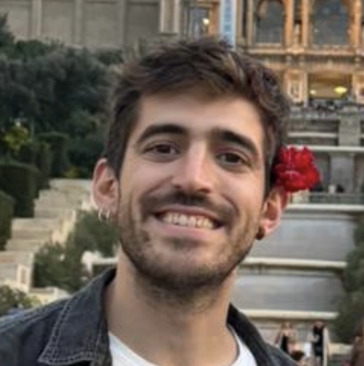 perfil